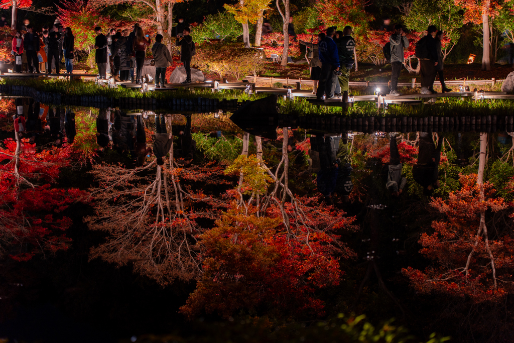 国営昭和記念公園　日本庭園⑤