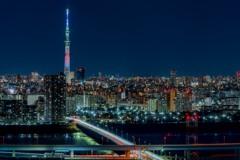 冬のスカイツリー①