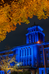 横浜　ヨルノヨ2025①