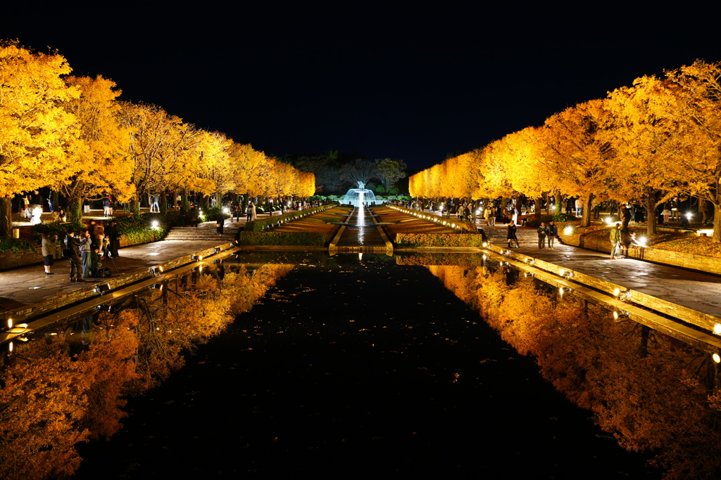 昭和記念公園　カナール