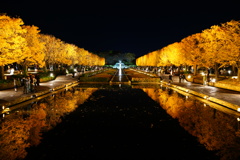 昭和記念公園　カナール