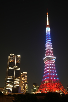 東京観光　東京タワー③