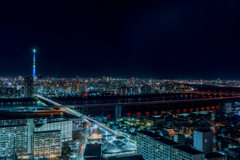 冬のスカイツリー②