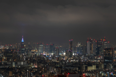 雪予報の東京④