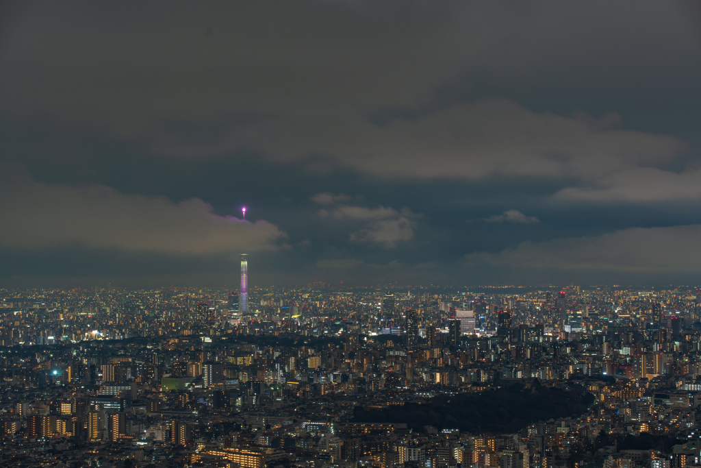 雪予報の東京③