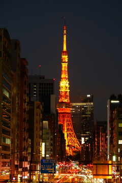 東京タワー　冬の装い①