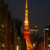 東京タワー　冬の装い①