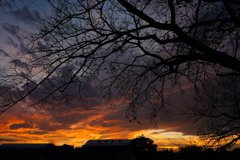 夕暮れ①