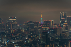 雪予報の東京②