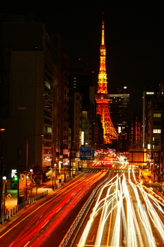 東京タワー　冬の装い②