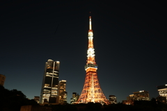 東京観光　東京タワー②