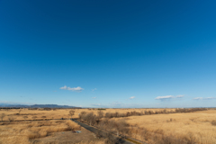 冬の渡良瀬遊水地①