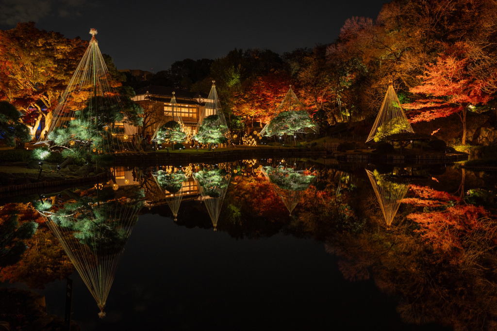 肥後細川庭園　ライトアップ①