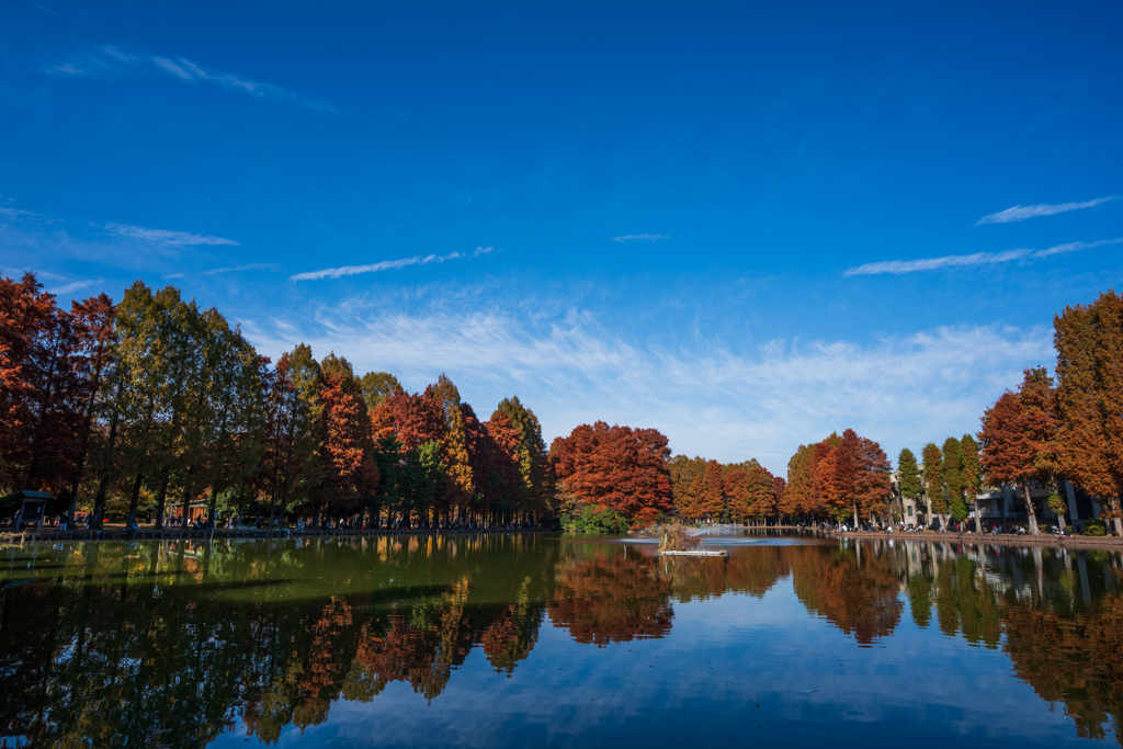 さいたま　別所沼公園①