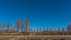 渡良瀬遊水地 再訪問②