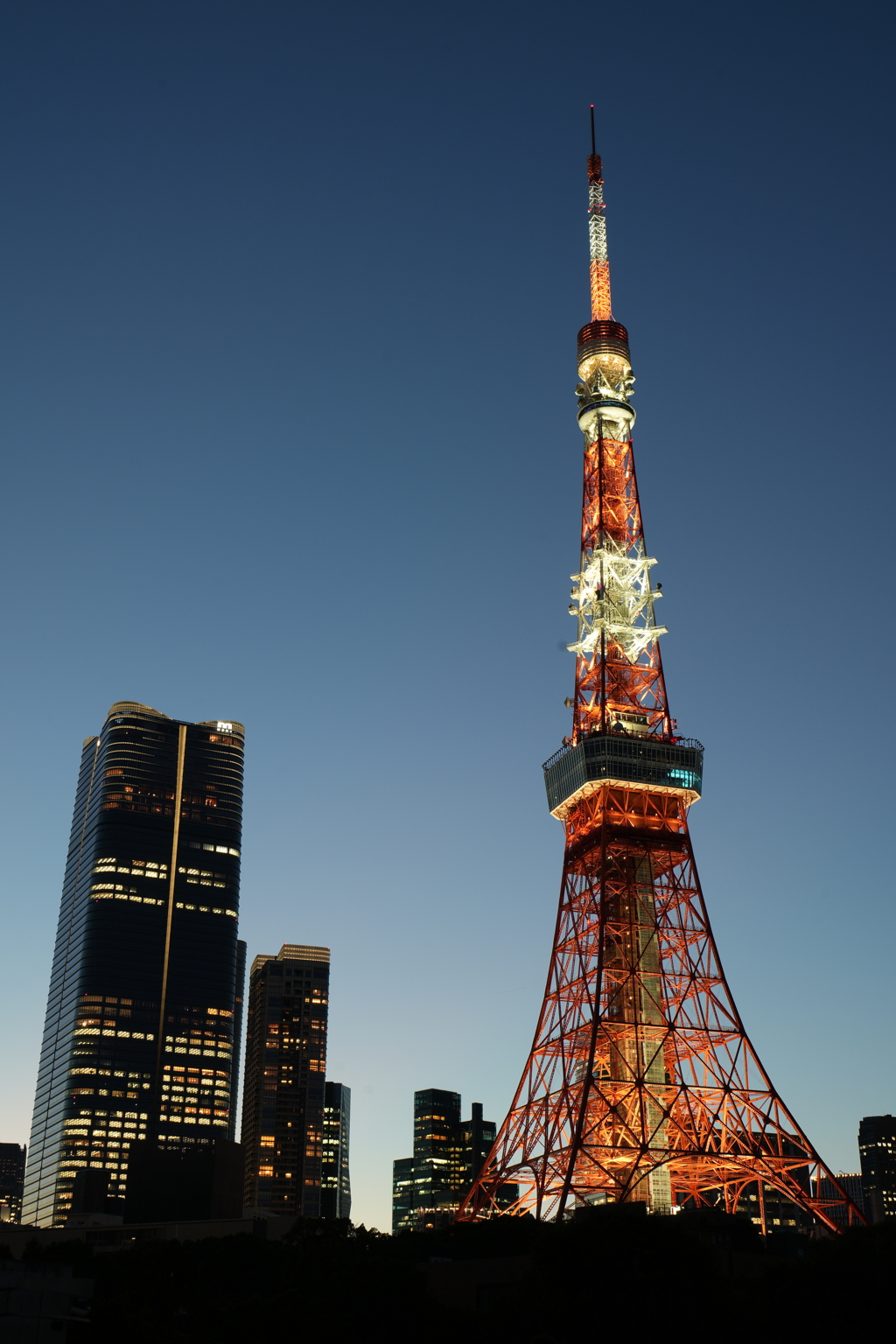 東京観光　東京タワー①