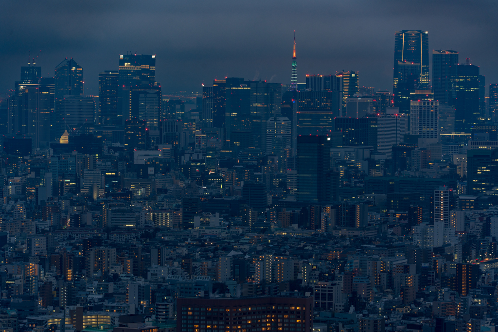 雪予報の東京①
