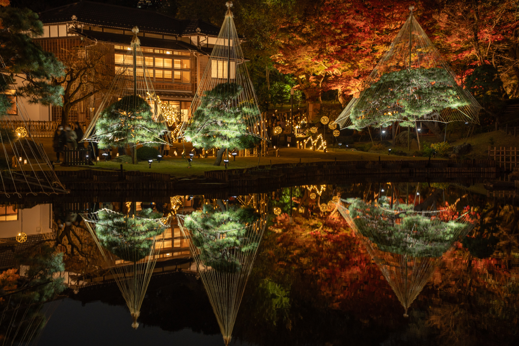 肥後細川庭園　ライトアップ②