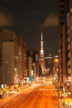 東京観光　東京タワー　札の辻交差点歩道橋①