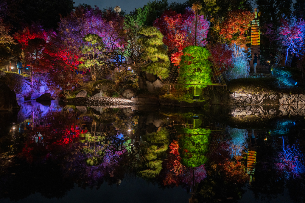 目白庭園 ライトアップ②