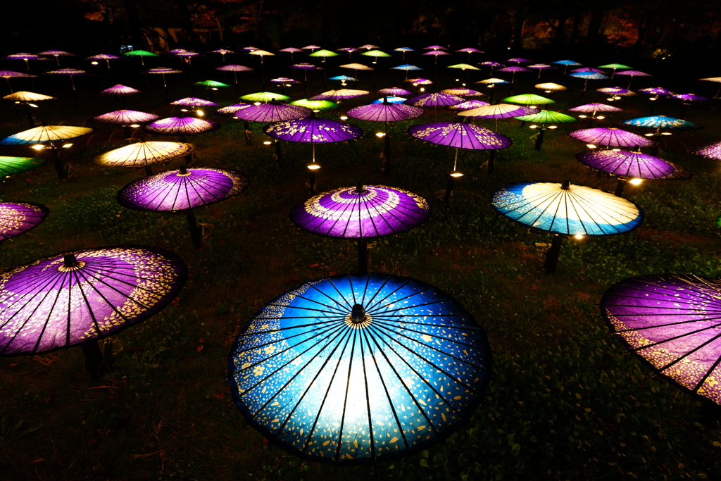 国営昭和記念公園　和傘②