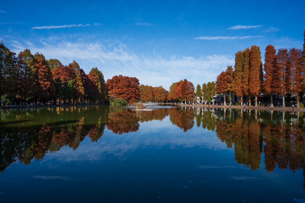 さいたま　別所沼公園②