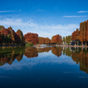 さいたま　別所沼公園②