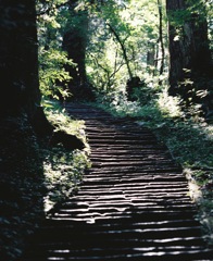 羽黒山