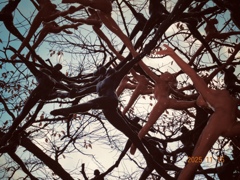 集団行動ってやつぅ