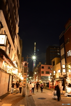 NZF_4196