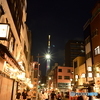 NZF_4196
