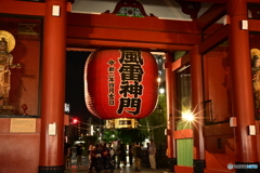 NZF_4209