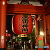 NZF_4209