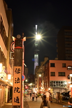 NZF_4202