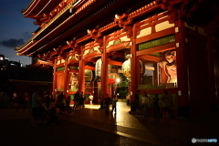 NZF_4180