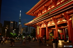 NZF_4161