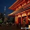 NZF_4161