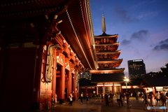NZF_4174