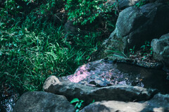 これも味と頭痛