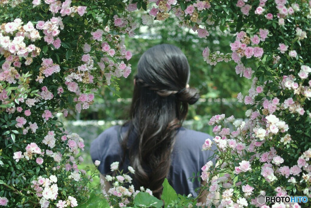 華やか