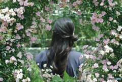 華やか