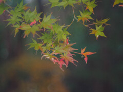 グラデーション