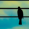 電線と鳥
