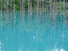 青い池