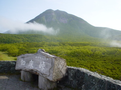 熊出没