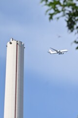 summer_fly