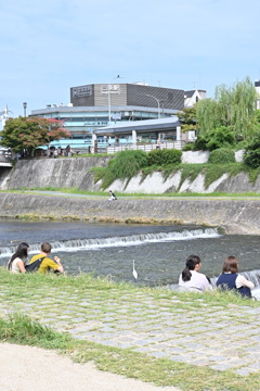 鴨チル