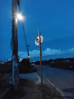 夕方