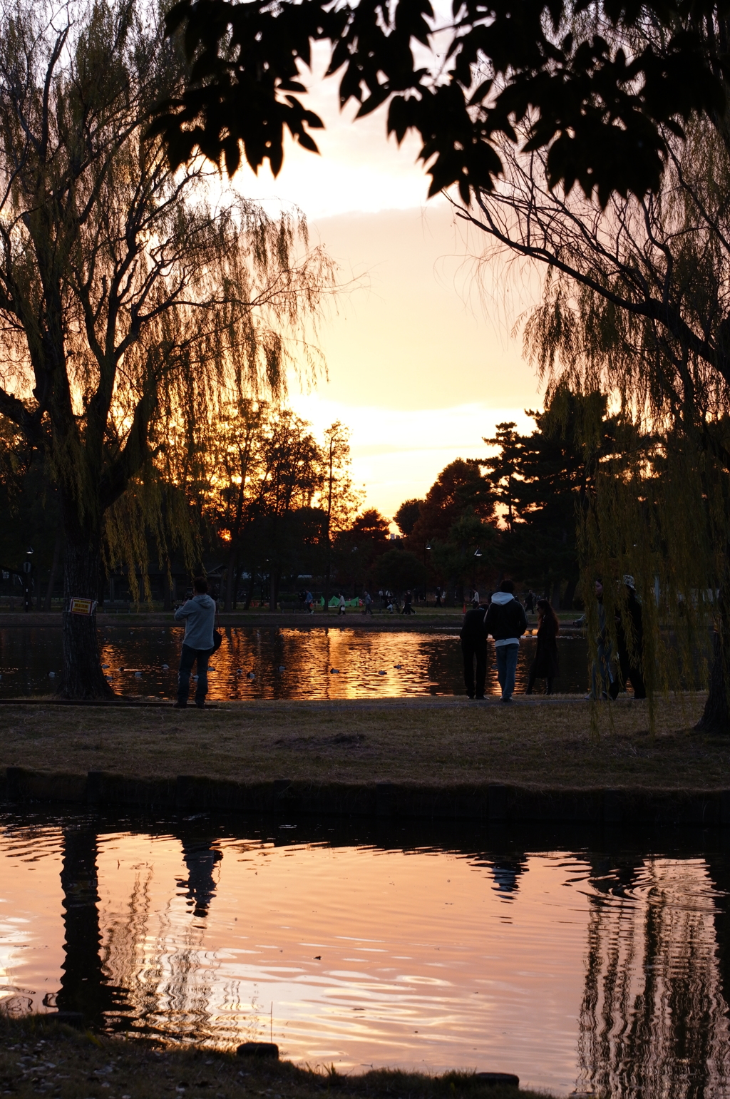今日の終わりに