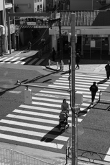 日なたの横断歩道